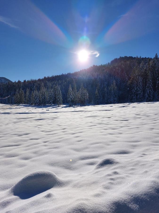 Bichlhof Riedenberg Villa Thiersee Kültér fotó