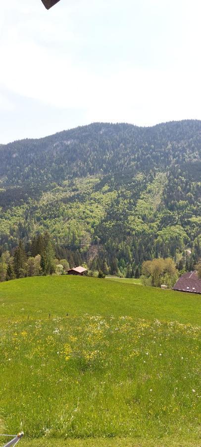 Bichlhof Riedenberg Villa Thiersee Kültér fotó